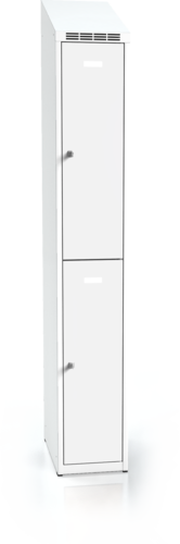  Divided cloakroom locker ALSIN with sloping top 1995 x 300 x 500